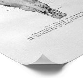 Koe Anatomie  afdrukken Poster (Hoek)