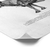 Koe Anatomie Vintage Afdrukken Poster (Hoek)