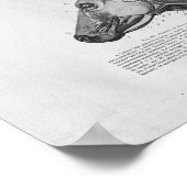 Koe Anatomie Vintage Afdrukken Poster (Hoek)