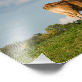 Koe Blonde d'Aquitaine in de regio Dordogne, Frank Foto Afdruk (Hoek)