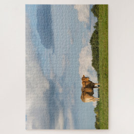 Koe Blonde d'Aquitaine in de regio Dordogne, Frank Legpuzzel