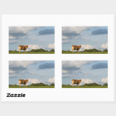 Koe Blonde d'Aquitaine in de regio Dordogne, Frank Rechthoekige Sticker (Vel)