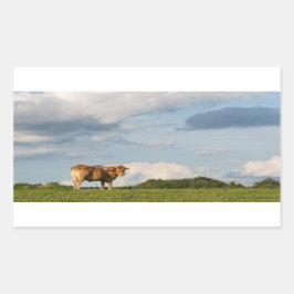Koe Blonde d'Aquitaine in de regio Dordogne, Frank Rechthoekige Sticker