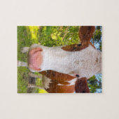 Koe Boerderij Dierfoto Legpuzzel (Horizontaal)