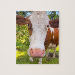 Koe Boerderij Dierfoto Legpuzzel