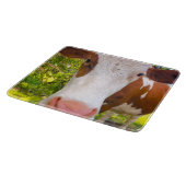 Koe Boerderij Dierfoto Snijplank (Hoek)