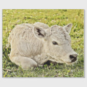 Koe Boerderij Rustisch land ontkoppeling Cadeaupapier (Vlak)