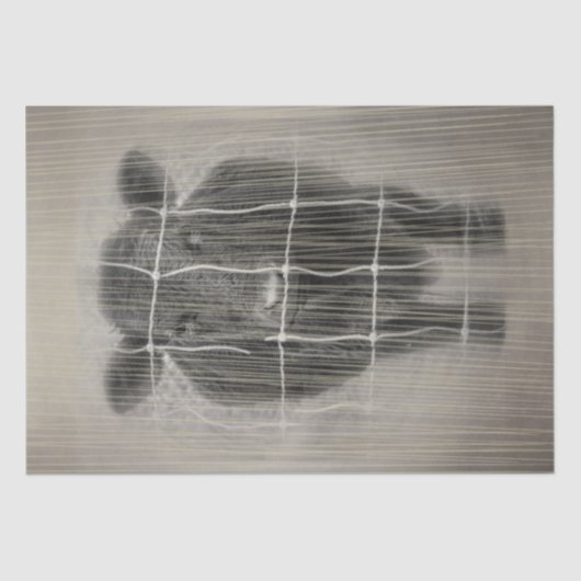 Koe Boerderij Tissuepapier (Voorkant)