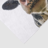 Koe Boerderij Tissuepapier (Detail)