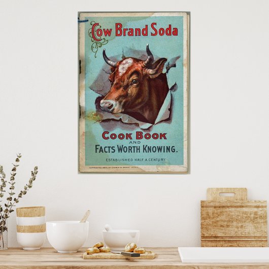 Koe Brand Soda Poster (Keuken)