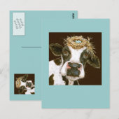 koe briefkaart (Voorkant / Achterkant)