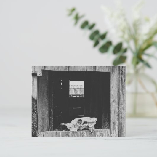 Koe Briefkaart (Staand voorkant)