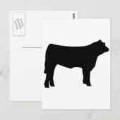 koe briefkaart (Voorkant / Achterkant)