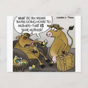 Koe Bull Divorce Funny Cartoon Gifts & T - shirts Briefkaart
