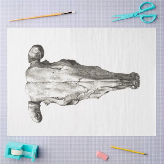 Koe Bull Skull Decoupage  Boerderij Ranch Tissuepapier (Craft)