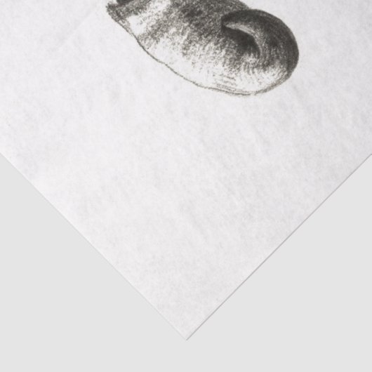 Koe Bull Skull Decoupage  Boerderij Ranch Tissuepapier (Detail)