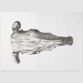 Koe Bull Skull Decoupage  Boerderij Ranch Tissuepapier