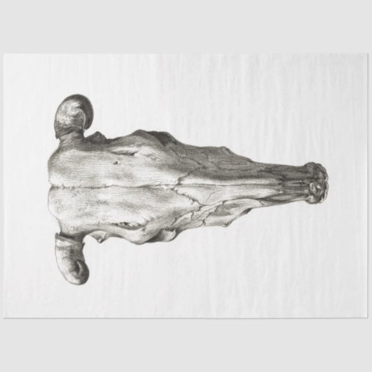 Koe Bull Skull Decoupage  Boerderij Ranch Tissuepapier (Voorkant)