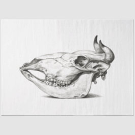 Koe Bull Skull Side Decoupage  Boerderij Ranch Tissuepapier