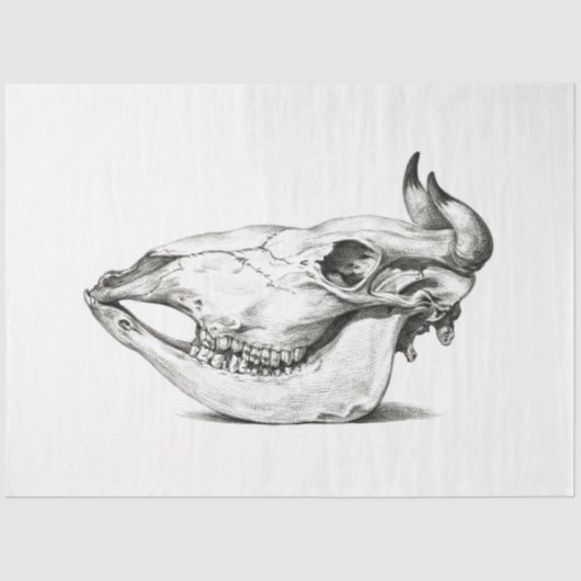 Koe Bull Skull Side Decoupage  Boerderij Ranch Tissuepapier (Voorkant)