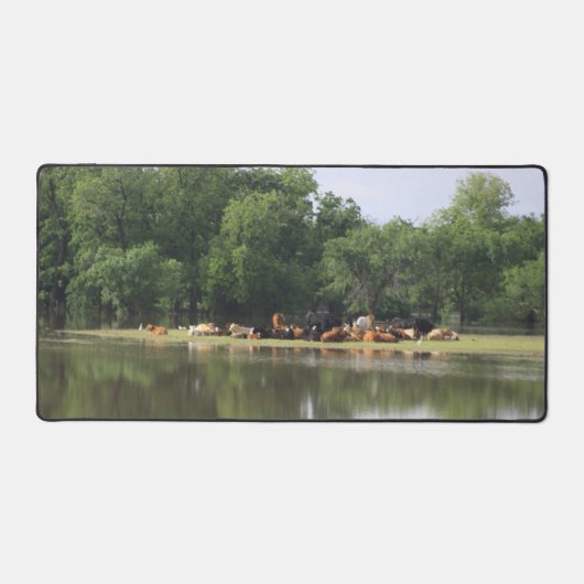 Koe Bureaumat (Voorkant)