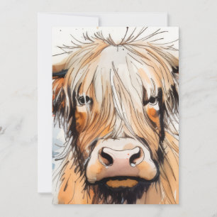 Koe cadeau, hooglandkoe kaart