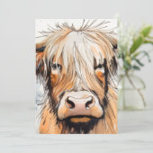 Koe cadeau, hooglandkoe  kaart (Staand voorkant)