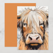 Koe cadeau, hooglandkoe  kaart (Voorkant / Achterkant)