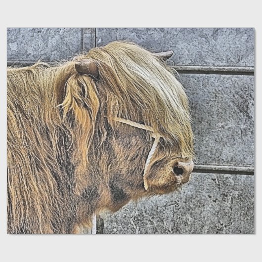 KOE CADEAUPAPIER (Vlak)