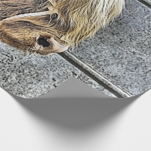 KOE CADEAUPAPIER (Hoek)