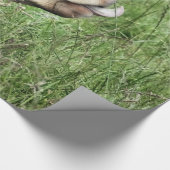 KOE CADEAUPAPIER (Hoek)