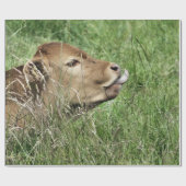 KOE CADEAUPAPIER (Vlak)