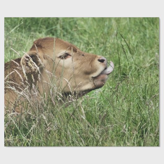 KOE CADEAUPAPIER (Vlak)