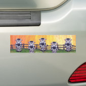 Koe cadeaus en Accessoires Bumpersticker (Op auto)