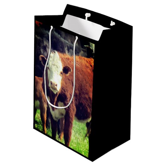 Koe Cadeautas (Achterkant Gekanteld)