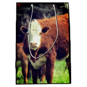 Koe Cadeautas (Voorkant)