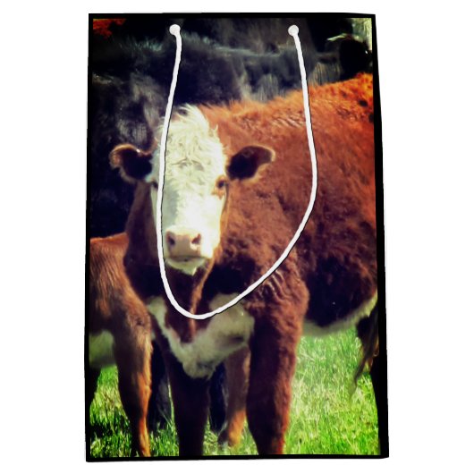 Koe Cadeautas (Voorkant)