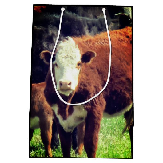 Koe Cadeautas (Achterkant)