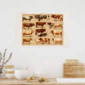  Koe Calf Bull Dairy Koeien Boerderij Illustratie Poster (Keuken)