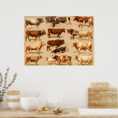  Koe Calf Bull Dairy Koeien Boerderij Illustratie Poster (Keuken)