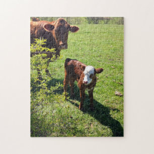 Koe & Calf Puzzle Legpuzzel