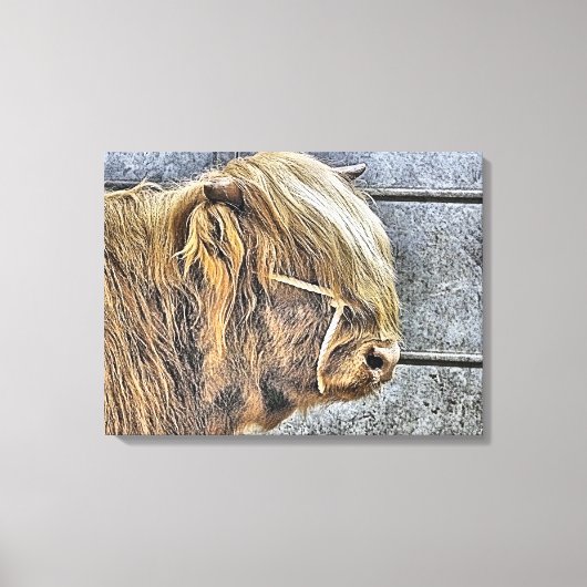 KOE CANVAS AFDRUK (Voorkant)