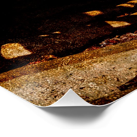 Koe Catcher Perfect Poster (Hoek)