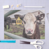 Koe Close-Up, Deel 1 Tissuepapier (Craft)
