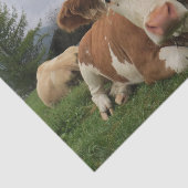 Koe close-up, deel 5: Dit is het leven! Tissuepapier (Detail)