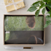 Koe Close-up, Part 3 Tissuepapier (Geschenk)