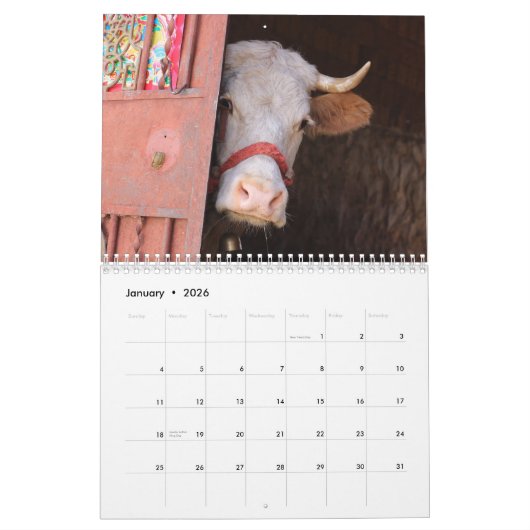 Koe Close-ups 2026 Agenda Kalender (Jan 2026)