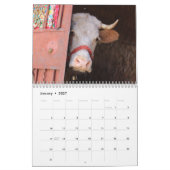 Koe Close-ups 2026 Agenda Kalender (Jan 2027)