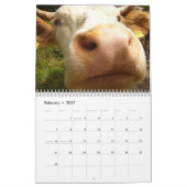 Koe Close-ups 2026 Agenda Kalender (Feb 2027)
