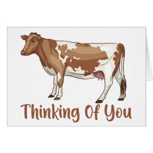 Koe Denkt Aan Jou Hallo Vermis Boerderij Boer
